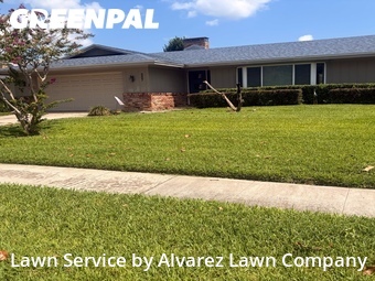 Lawn Mowin Altamonte Springs,32701,Yard Cutting by Alvarez Lawn Company, work completed in Jul , 2026