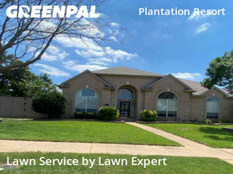 Yard Mowing nearby Frisco, TX, 