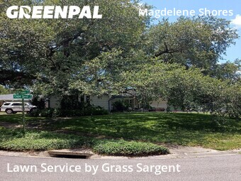 Yard Mowing nearby Tampa, FL, 