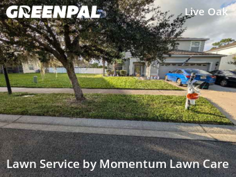 Lawn Mowing Service nearby Tampa, FL, 