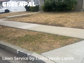 Work completed by the-yard-cutting-businesses-in-Torrance-CA