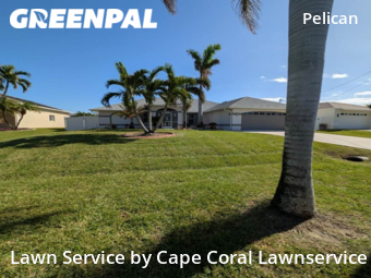 Lawn Cut nearby Cape Coral, FL, 