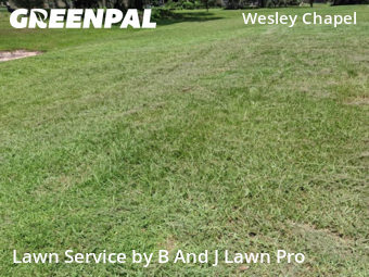 Yard Cutting nearby Wesley Chapel, FL, 