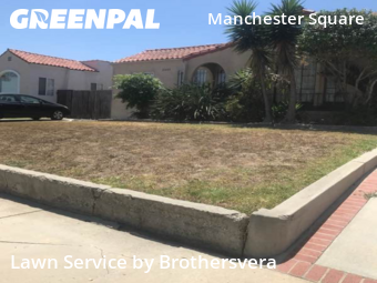Work completed by lawn-care-experts-near-me-in-Los Angeles-CA