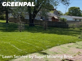 Grass Cut nearby Okemos, MI, 
