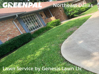 Grass Cut nearby Dallas, TX, 