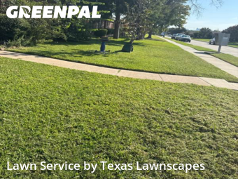 Lawn Cuttingin The Colony,75056,Lawn Cutting by Texas Lawnscapes, work completed in Nov , 2025