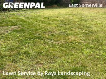 Lawn Mow nearby Somerville, MA, 