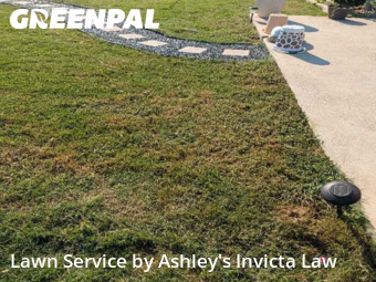 Lawn Cut nearby Temple, TX, 