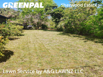 Lawn Mow nearby Titusville, FL, 