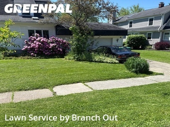 Lawn Maintenance nearby Hamburg, NY, 