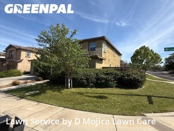 Lawn Mow nearby Elk Grove, CA, 