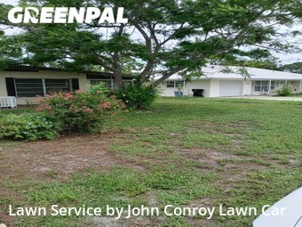 Grass Cutting nearby Venice, FL, 
