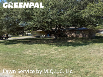 Grass Cutin New Braunfels,78130,Lawn Service by M.Q.L.C. Llc., work completed in Dec , 2025