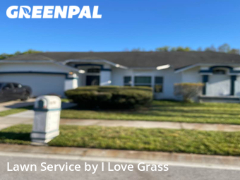 Lawn Mowing Service nearby Land O' Lakes, FL, 