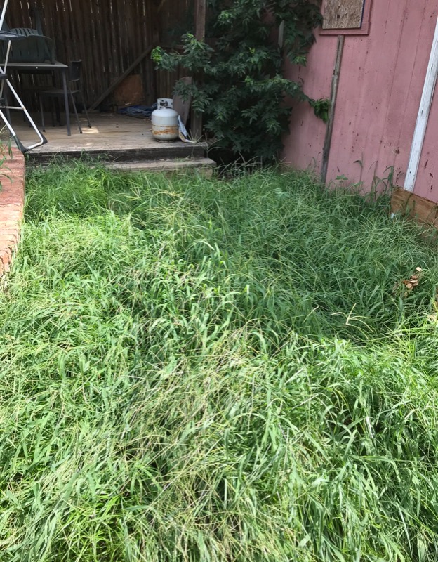 Lawn Mowing Contractor in Arlington, TX, 76001