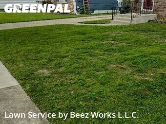 Yard Cutting nearby Lancaster, NY, 