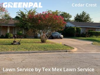 Yard Cutting nearby Dallas, TX, 