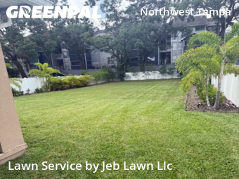 Lawn Maintenance nearby Tampa, FL, 