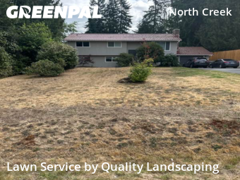 Weed Trimming in Bothell, 98021, Lawn Mowing by Quality Landscaping, work completed in Nov , 2025