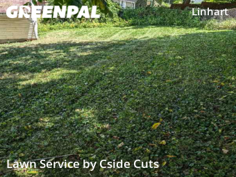 Grass Cutting nearby Turtle Creek, PA, 