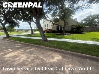 Lawn Cutting nearby Sugar Land, TX, 