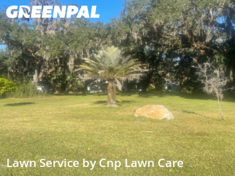 Lawn Cutin Kissimmee,34746,Yard Cutting by Cnp Lawn Care, work completed in Jan , 2026