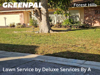 Lawn mowed in Coral Springs, 33065