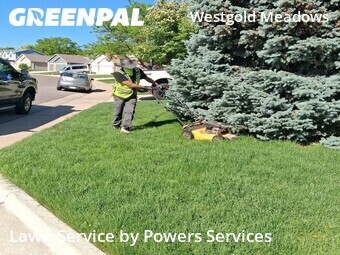 Lawn Cut nearby Littleton, CO, 