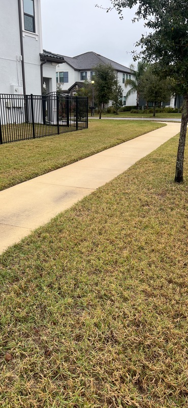 Work Image 4