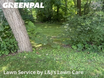Lawn Mowing Service nearby Greenfield, WI, 