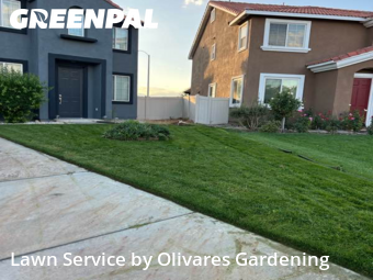 Work completed by residential-lawn-cutting-businesses-in-Palmdale-CA