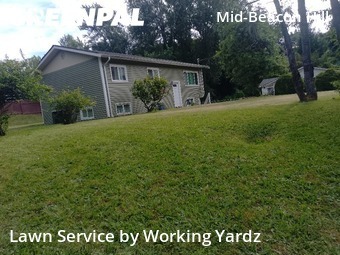 Grass Cut nearby Seattle, WA, 