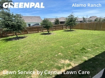 Yard Mowing nearby San Antonio, TX, 