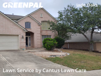 Lawn Mowing nearby San Antonio, TX, 