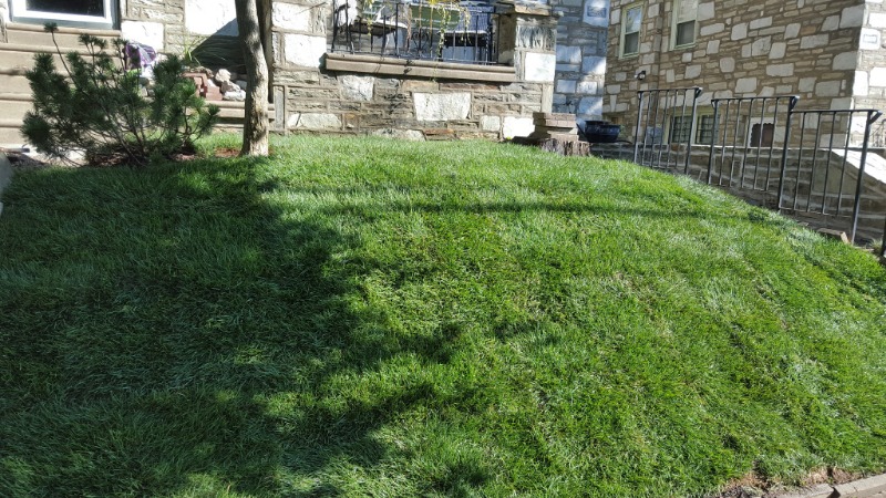 residential-lawn-cutting-businesses-in-Millcreek Township-PA