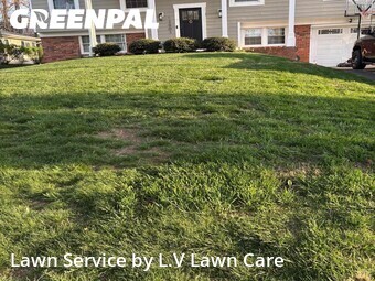 Lawn Care nearby Fairfax, VA, 
