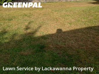Lawn Care nearby Avoca, PA, 