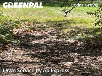 Grass Cut nearby Shreveport, LA, 