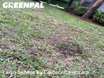 Yard Mowingin Plantation,33317,Lawn Care Service by Caidens Lawncare , work completed in Dec , 2025