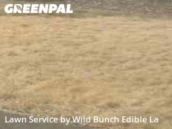 Grass Cutting nearby Seattle, WA, 