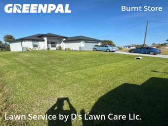 Yard Mowing nearby Cape Coral, FL, 