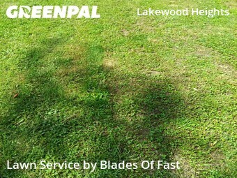 Lawn Cutting nearby Atlanta, GA, 