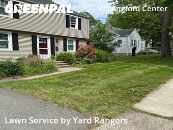 Lawn Cut nearby Wallingford, CT, 
