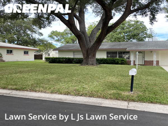 Lawn Cut nearby Largo, FL, 