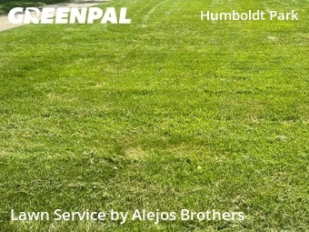 Commercial Landscaping In Chicago,60651,Landscapers by Alejos Brothers, work completed in Jul , 2026