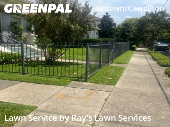 Lawn Mow nearby New Orleans, LA, 