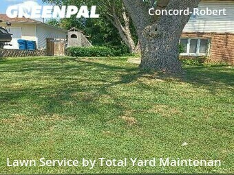 Lawn Maintenance nearby South Saint Paul, MN, 