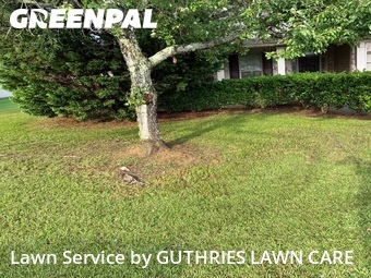 Lawn Mowing nearby Byron, GA, 