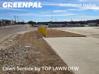 Yard Cuttingin Dallas,75229,Lawn Mow by TOP LAWN DFW, work completed in Feb , 2026